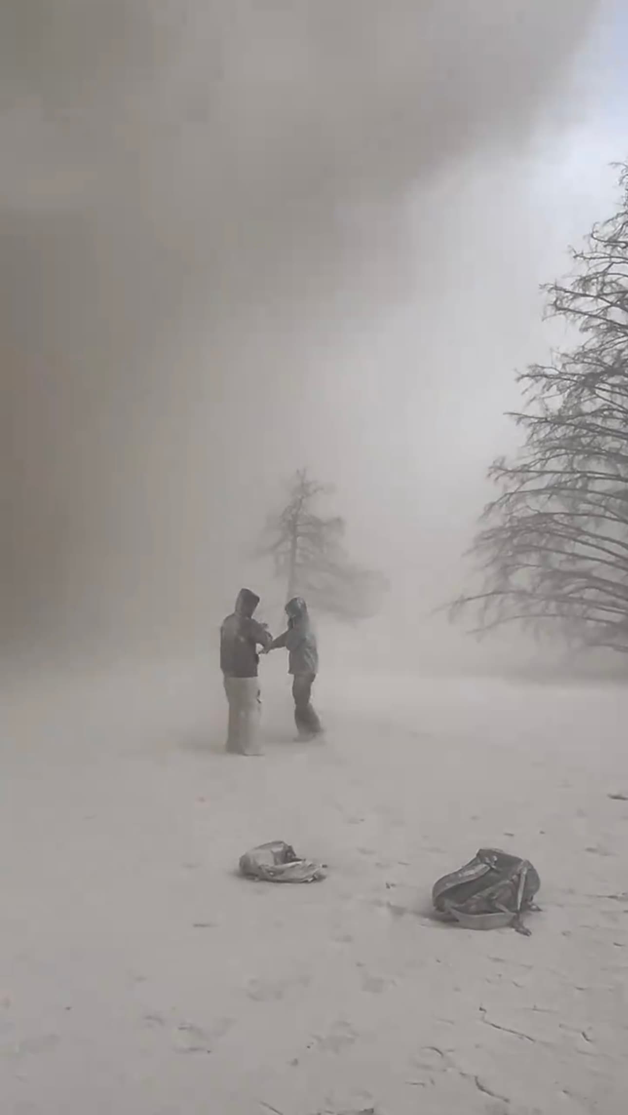 Live expedition image 5